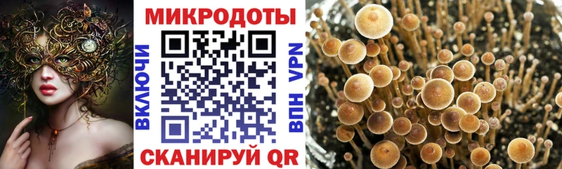 Псилоцибиновые грибы Magic Shrooms  omg как войти  Неман  где можно купить наркотик 